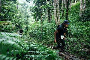 BIB: 
                            <button type="button" onclick="openModal(26360027)" class="btn btn-primary btn-sm float-right btn-popup" data-toggle="modal" data-target=".modal-high-quality">
                        <i class="fas fa-shopping-cart"></i> Add to Cart
                    </button>
                                            <button type="button" onclick="isThisMe(26360027, true)" class="btn btn-success btn-sm float-right btn-popup btn-isme hidden" data-toggle="tooltip" data-placement="bottom" title="นี่คือรูปของคุณใช่ไหม คลิกที่นี่เพื่อเอาเข้าอัลบั้ม">
                        <i class="fas fa-plus"></i> Add to album
                    </button>
                    <button type="button" onclick="isThisMe(26360027, false)" class="btn btn-warning btn-sm float-right btn-popup btn-isnotme hidden">
                        <i class="fas fa-ban"></i> Remove from album
                    </button>